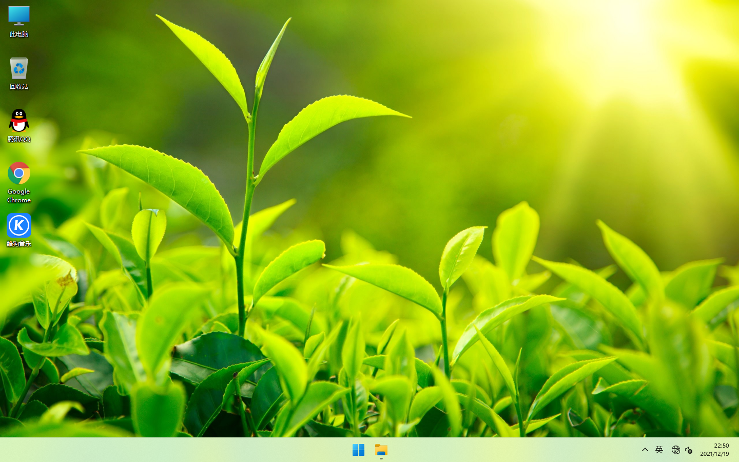 雨林木风 Windows11专业版 64位支持新平台安装简单可靠