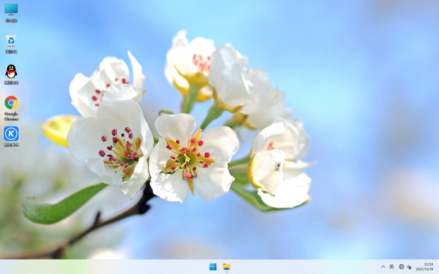 Windows11全新驱动 32位 萝卜家园专业版快速安装推荐下载