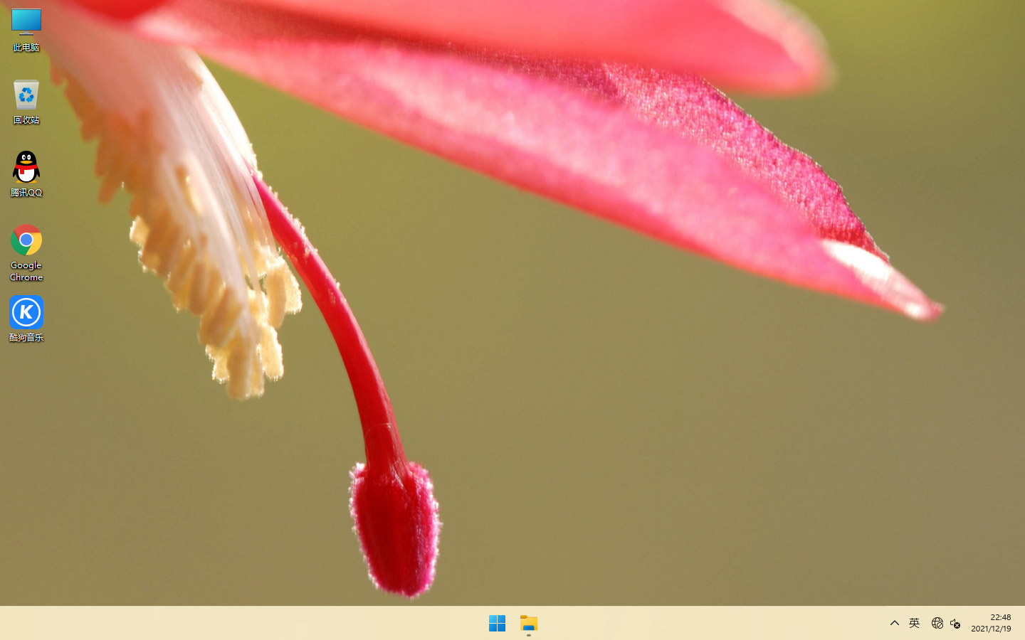 雨林木风 Windows11纯净版 32位 支持UEFI启动系统下载